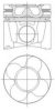 NüRAL 87-103000-30 Piston